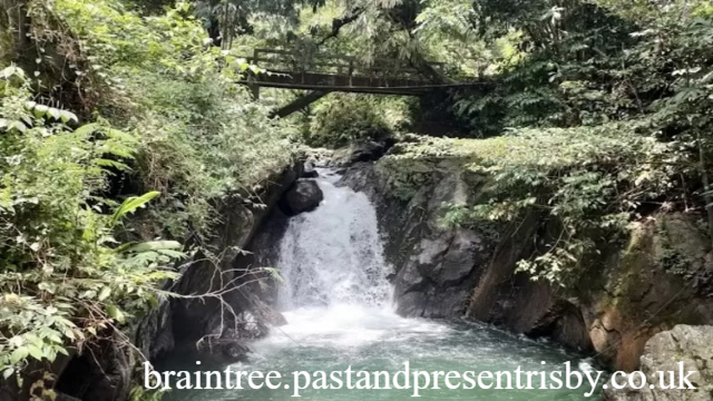 8 Tempat Wisata di Sentul untuk Melepas Penat