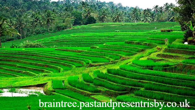 Inilah 7 Tempat Wisata yang Recomended di Singaraja Bali